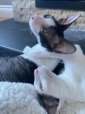 318013190_1881990218866553_8023135370023483346_n