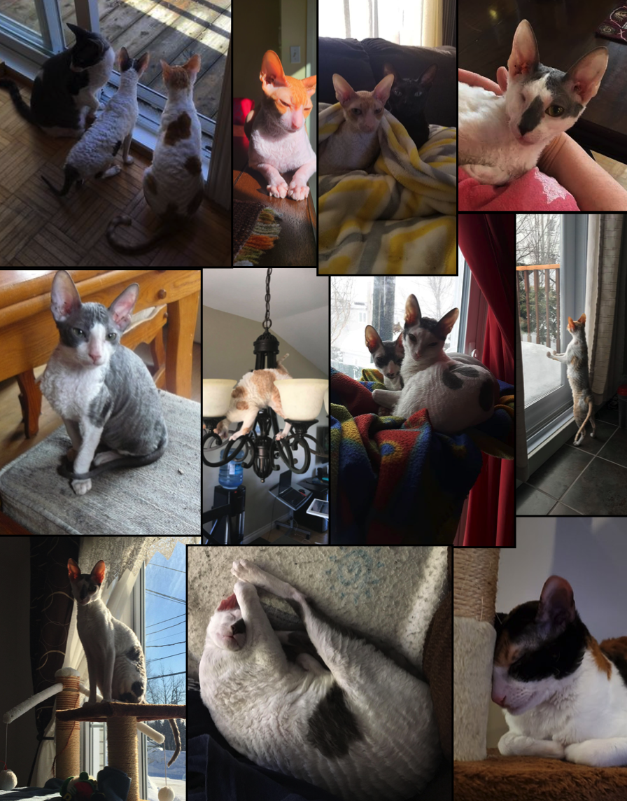 Capture d’écran, le 2022-12-23 à 21.20.45